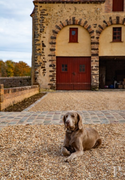 En Eure-et-Loire, à l’ouest de Chartres, un château du 17e dans un parc de 140 ha traversé par l’Eure - photo  n°41